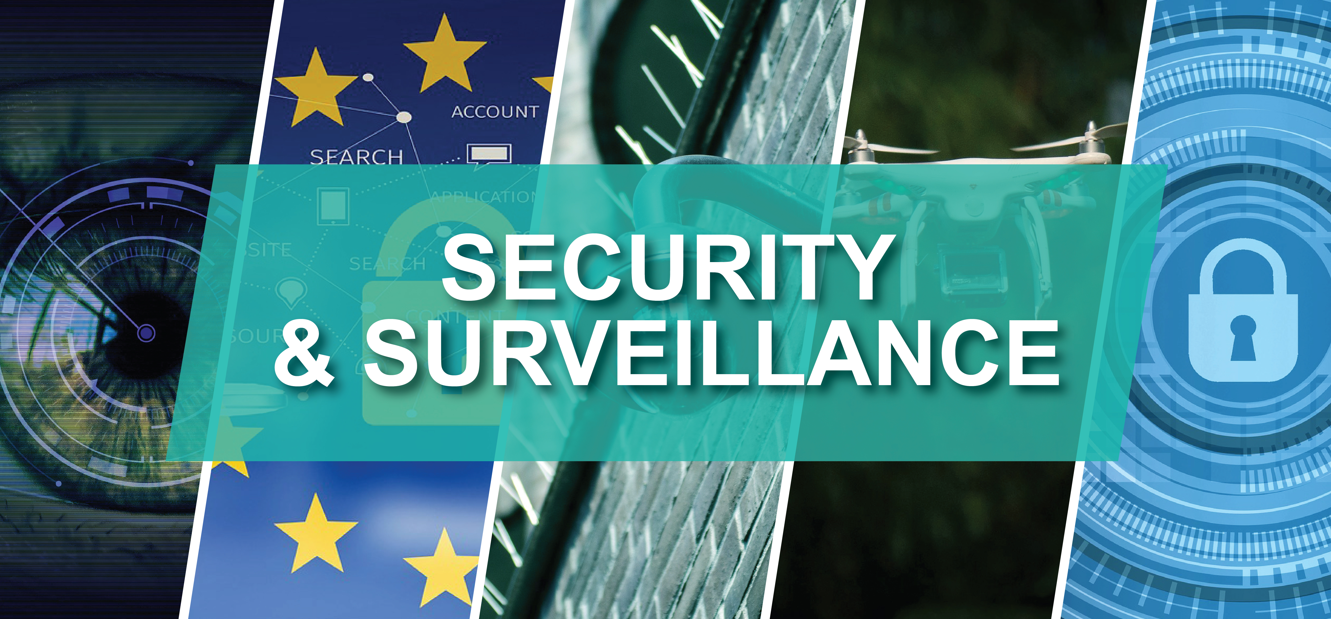Security & Surveillance Market